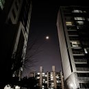 근육편의점 | 식후 4시간, 저녁 헬스 가도 될까요? 편의점 단백질 챙기는 천안 헬린이 후기