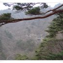 3월2일(일요일)경북 봉화.청량산(870 m) 이미지
