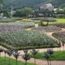 무궁화어린이공원 수 이미지