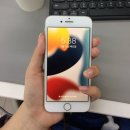 더색감 | 아이폰7 색감, 올드아이폰 후기 (tip. 카메라 무음 설정)