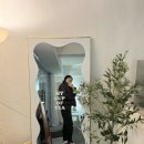 므콧 이미지
