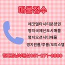 강남-051 이미지