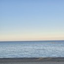패션세탁소 | 포항 가볼 만한 곳 창바우마을 캠핑장 창바우 스토어&amp;바우 커피