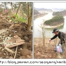 무궁화비료 이미지