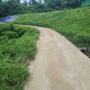 송이 부동산중개사무소 이미지