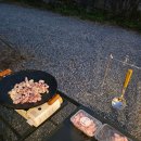 비타민 팜 오토캠핑장 이미지