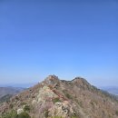 대금산진달래길(트레킹) | 경남 진해 드림로드 벚꽃 트래킹, 장복산 덕주봉 진달래 등산