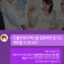 독감 예방접종, 감기도 예방될까요? 이미지