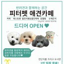 피터펫카페 일산점 이미지