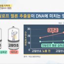 멜론플러스