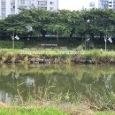 온천천시민공원 관리사무소 이미지