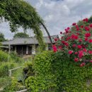 강진 소소원 이미지