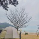 충남 태안 바다와 파도소리 캠핑장 한혜진 기안84 이시언 세얼간이 백리포해수욕장 노지 감성 캠핑장...