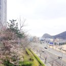 다대동의한의원 이미지