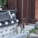 카페(Cafe) 소솜 이미지