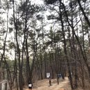 태화근린공원 화장실 이미지