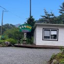 레몬펜션 | 가평 초록빛계곡 애견동반펜션 레몬방 2박 3일 후기 (성수기 가성비 최고)