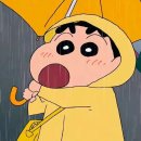 11260-3-70-10 | 🚘 GV70 신차패키지 후기｜마디코 아비스NR 전면30%·측후면10% 썬팅 + 유리막·도어PPF