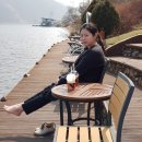 카페화수목