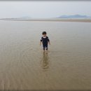 장삼포민박 이미지