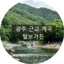 털보가든 이미지