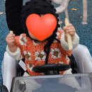 원투쓰리 | 바이올렛님의 5th. 함뜨 귀에 꽃도리 후기[방해꾼 원투쓰리]