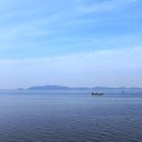 청보리축제장 이미지