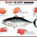 화정참치 이미지
