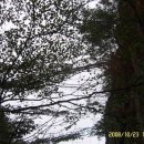 제국공인중개사사무소 이미지