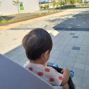 코코세탁소 이미지