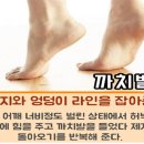 ‘제2의 심장’ 까치발운동의 놀라운 이야기 이미지