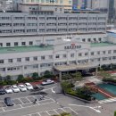 서울사대부설초등학교 이미지