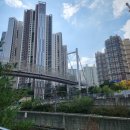 (주)써밋엔터 | 서울숲더샵 임장 후기