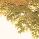 신남주유소 이미지