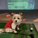 월송리CC 골프연습장 이미지