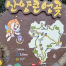 숨골농장 | 제주 할로윈데이 사진 찍기 좋은 곳 [산양큰엉곶] 곶자왈 방문 후기