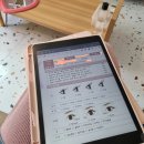 (주)아이블리 | 연신내 속눈썹 연장 잘하는 곳 플랫모 C컬 10mm 아이블리