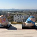 황소목장 | 서산 한우목장 벚꽃 실시간 개화 상황(26.4.5) &amp; 주차 팁 (주말 아이와 나들이 🌸)