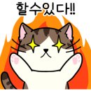 야옹아 놀자 이미지