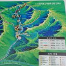 고란길(길안면) 이미지