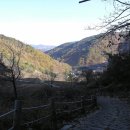 추성마을 이미지