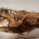 만선식당 이미지