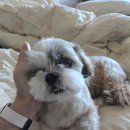 e편한세상삼척교동아파트 | 강릉청소업체 깔꼬미의 화장실청소/욕실청소 후기 [ 교동 e편한세상아파트 ]