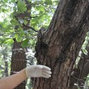 하늘농장5 이미지