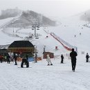 꿈벌사슴목장 이미지