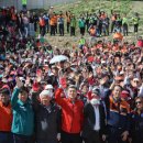 희망나무심기1 이미지