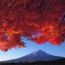 가을여행 이미지