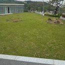 삼일농장 이미지