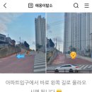 냥이 이발소 | 부산 서면 고양이 무마취미용 애옹이발소 방문후기