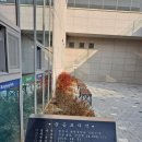 (주)거성종합건설건축사사무소 이미지